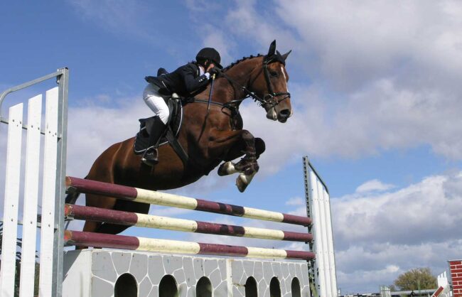 hoppning